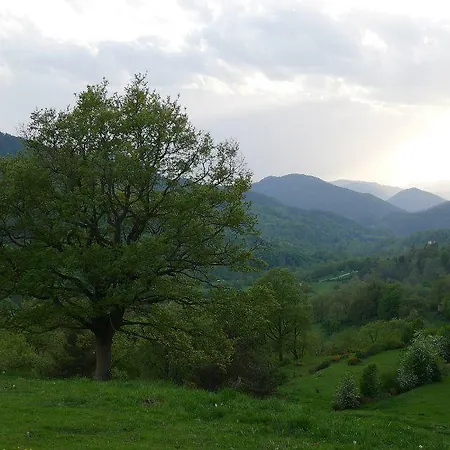Mas Regort 乡村民宿 Vallfogona De Riucorb