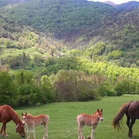 Mas Regort Casa rural